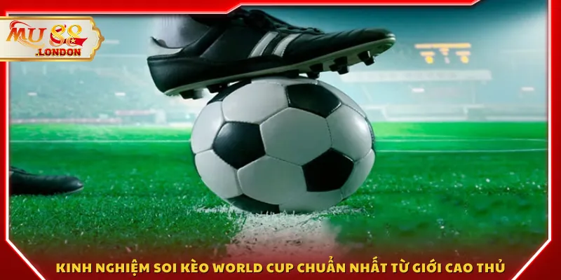 Kinh nghiệm soi kèo World Cup chuẩn nhất từ giới cao thủ