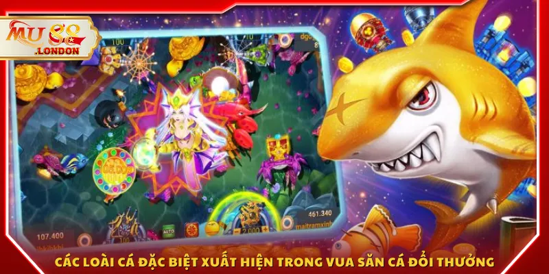 Các loài cá đặc biệt xuất hiện trong vua săn cá đổi thưởng