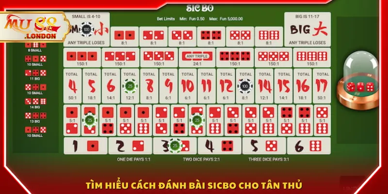 Tìm hiểu cách đánh bài Sicbo cho tân thủ