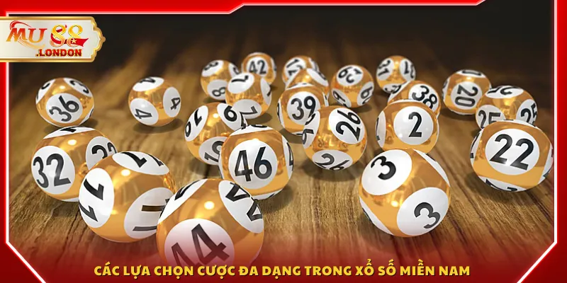 Các lựa chọn cược đa dạng trong xổ số miền Nam